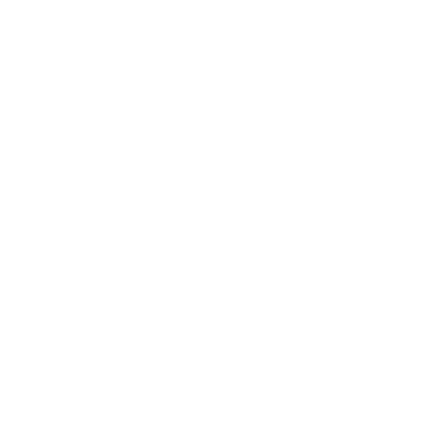 Ace Insurance